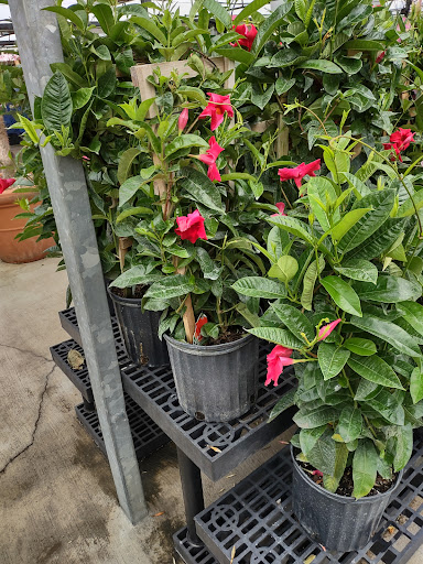 Plant Nursery «Blooming Acres», reviews and photos, 7561 State Rd, Wadsworth, OH 44281, USA