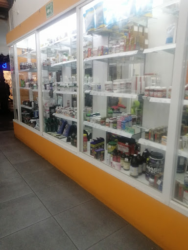 Tiendas de miel pura de abeja en Puebla