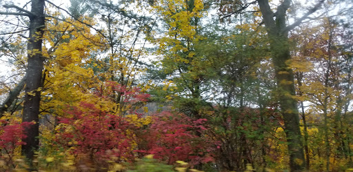 George Newton VFW Post 1607