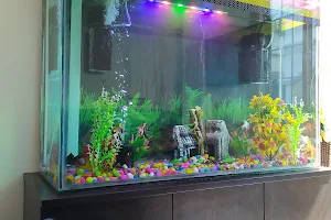 Mega Star All Types Of Aquarium Sets, Ornamental Fish & Assoceries . All India Sales & Service : image