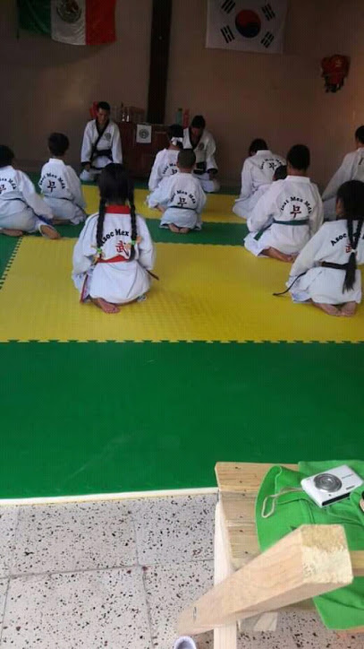 INSTITUTOMEXICANO DE TAE KWON DO MOO DO KWAN