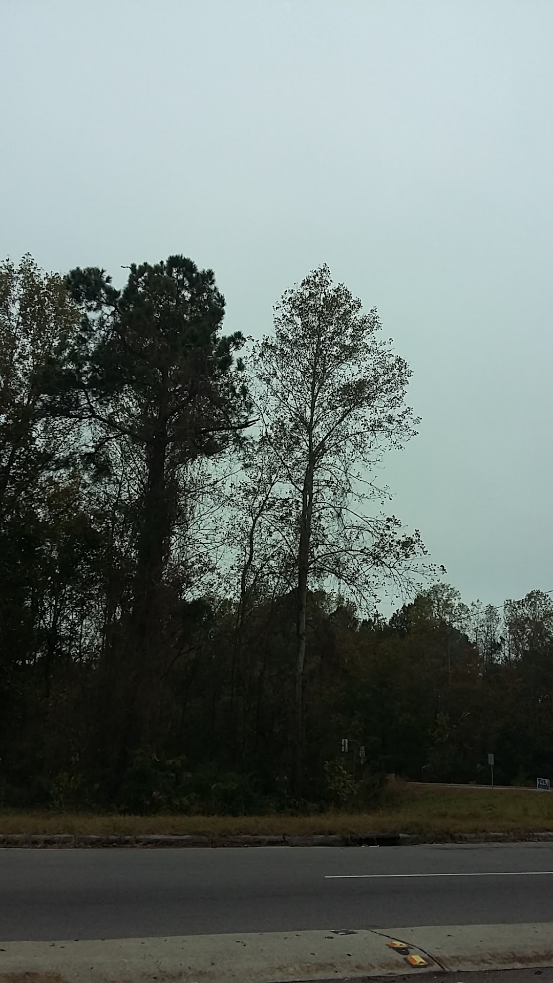 Port-O-Pines Estates