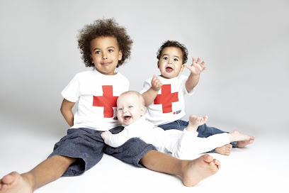 Ungdommens Røde Kors