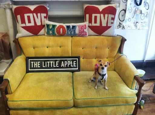 Boutique «The Little Apple», reviews and photos, 4361 Main St, Philadelphia, PA 19127, USA
