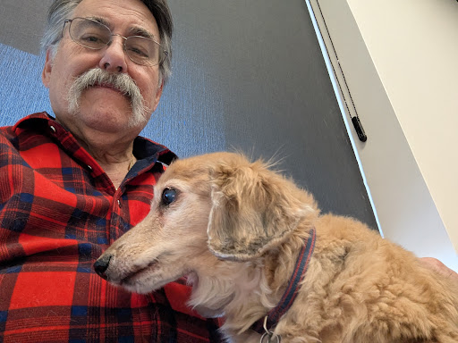 CityVet | West Moore + Urgent Care image