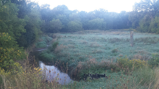 Nature Preserve «Meacham Forest Preserve», reviews and photos, Circle Ave, Bloomingdale, IL 60108, USA