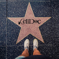 Cell Doc @ Oakridge Mall - Photo 5 - Car repair in San Jose, CA, San Jose