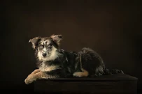 Kristina Carlson Photography - Car repair in , Olathe - Rated 5.0/5