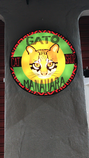 Gato Manauara ✅