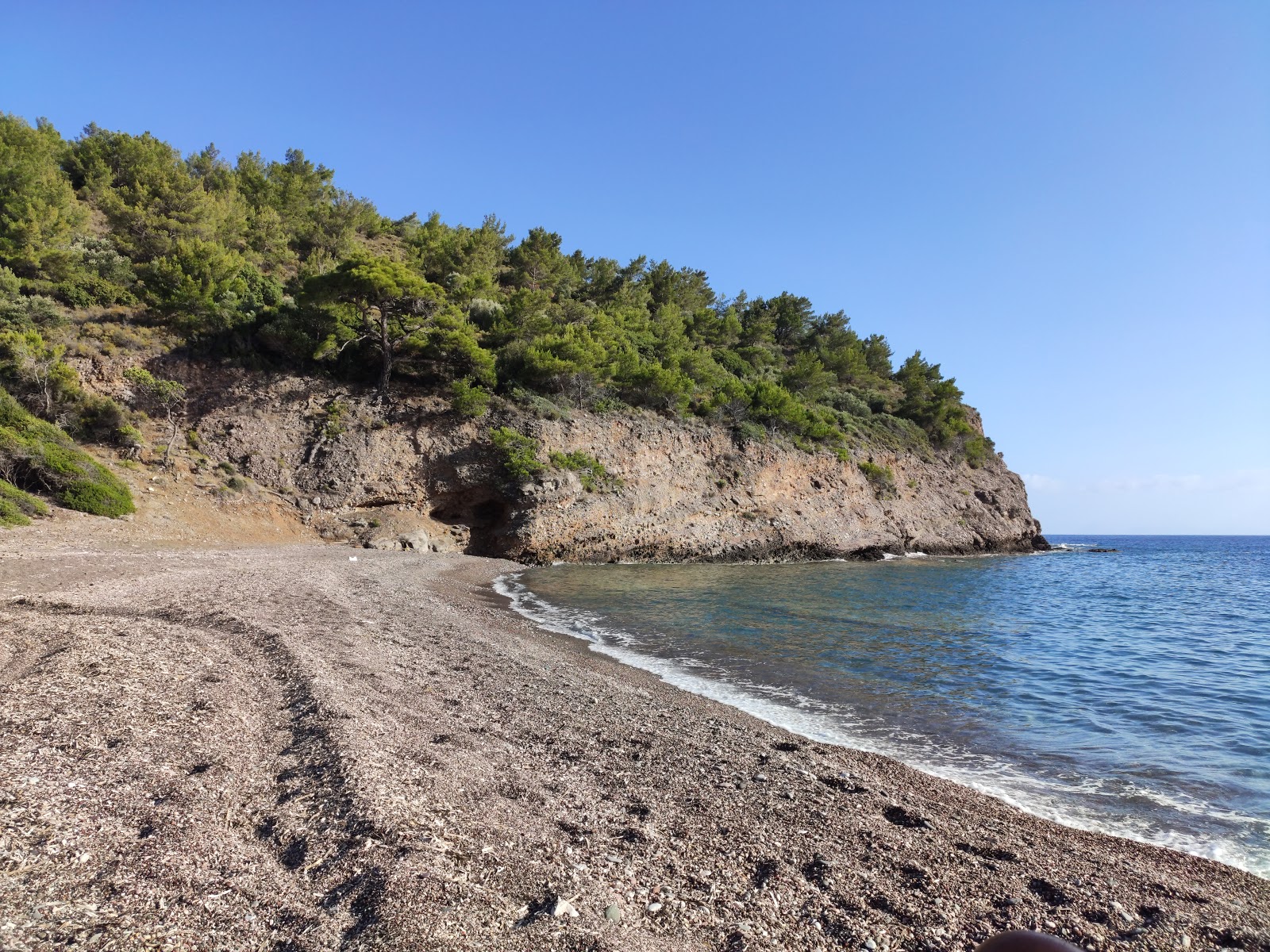 Foto von Pink Pebble Dark beach wilde gegend