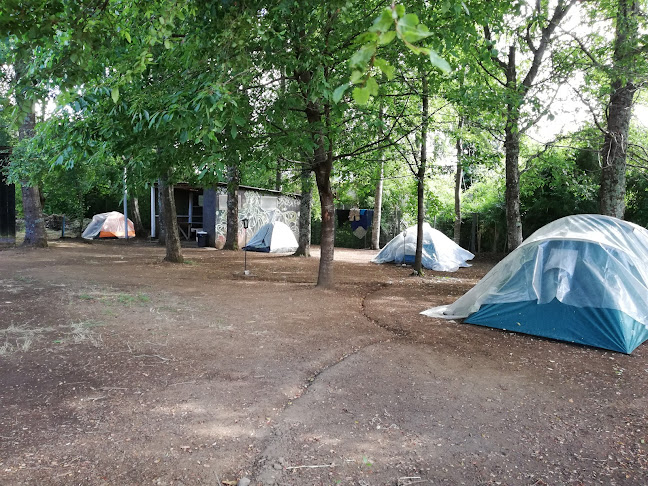 Camping San Jose