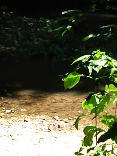 Nature Preserve «Daniel Johnson Nature Preserve», reviews and photos, 1301 Beech Valley Rd NE, Atlanta, GA 30306, USA