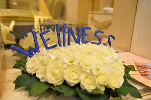 Wellness Club image