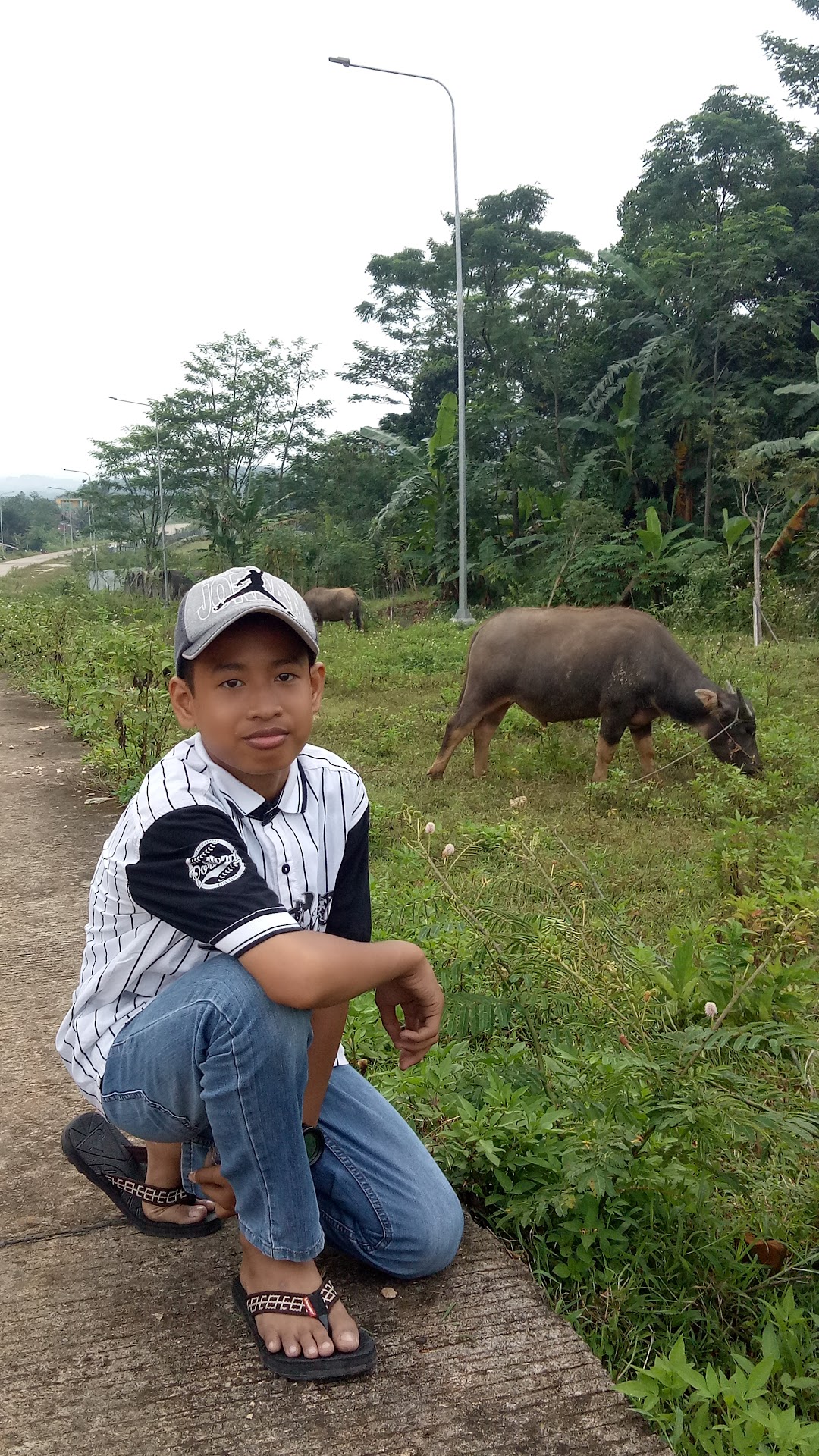 Kebun Jambu Kristal Tansuber Iwapi