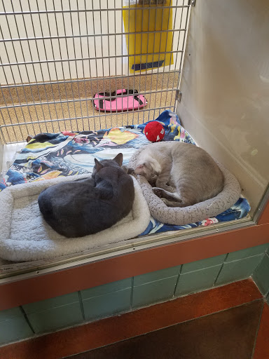 Thomas J O'Connor Animal Control & Adoption Center