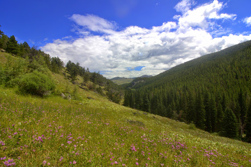 National Forest «Bighorn National Forest», reviews and photos