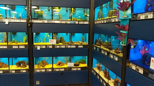 Pet Supply Store «Petco Animal Supplies», reviews and photos, 1919 El Camino Real, Mountain View, CA 94040, USA