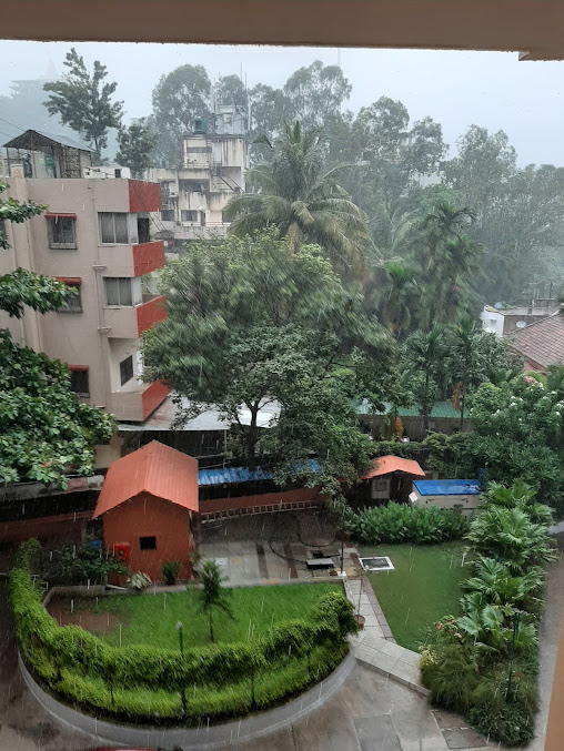 Google Maps image 10