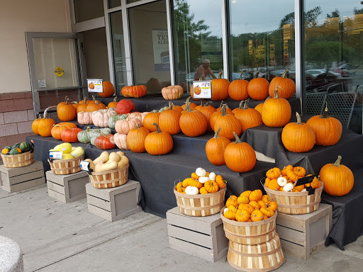 Grocery Store «Super Stop & Shop», reviews and photos, 460 Elm St, West Haven, CT 06516, USA