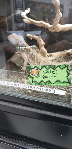 Pet Store «Animal Lovers Pet Shop», reviews and photos, 24028 Vista Montana, Torrance, CA 90505, USA