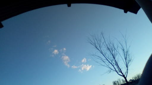 Dog Park «Trail Winds Dog Park», reviews and photos, 13385 Holly St, Thornton, CO 80241, USA