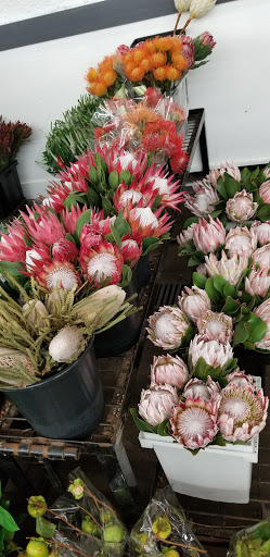 Florist «Cerritos Hills Florist», reviews and photos, 11827 South St, Cerritos, CA 90703, USA