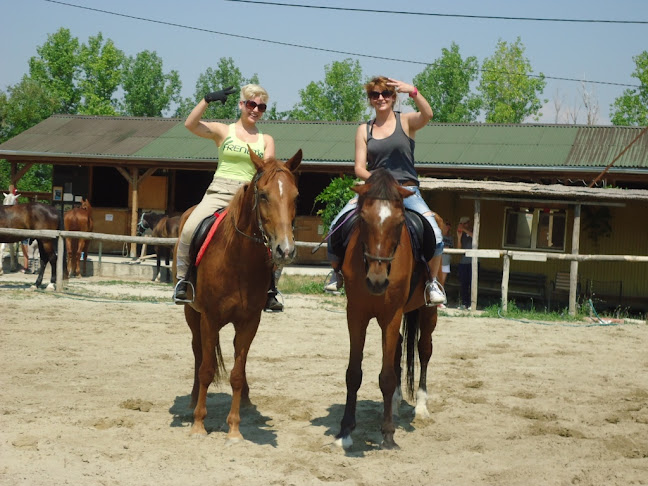 Tétényi Dunapart Lovasklub - Budapest