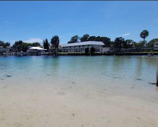 Supermarket «Publix Super Market Plaza Inverness», reviews and photos, 1012 W Main St, Inverness, FL 34450, USA