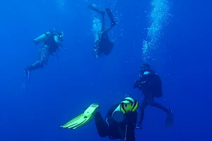 Xiphias Diving Center image