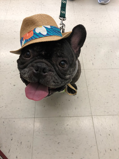 Pet Supply Store «Pet Supplies Plus», reviews and photos, 6030 S Pennsylvania Ave, Lansing, MI 48911, USA