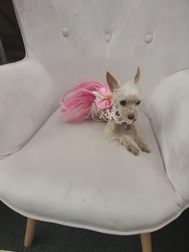 Craft Store «Hobby Lobby», reviews and photos, 3775 Oxford Station Way, Winston-Salem, NC 27103, USA