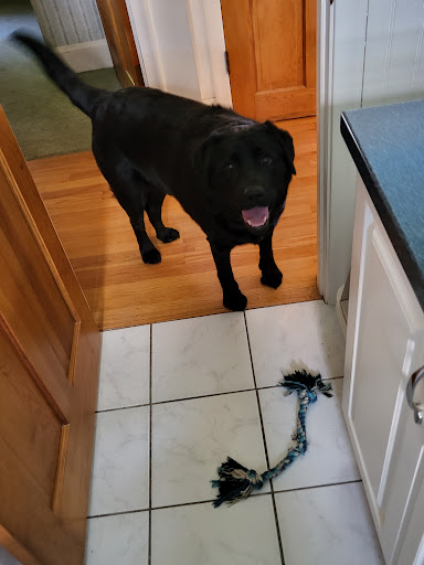 Electronics Store «Best Buy», reviews and photos, 14 Allstate Rd, Dorchester, MA 02125, USA