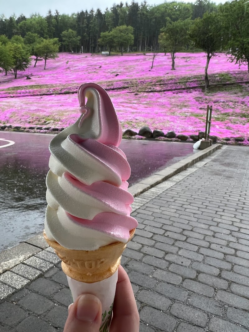 芝ざくら滝上公園