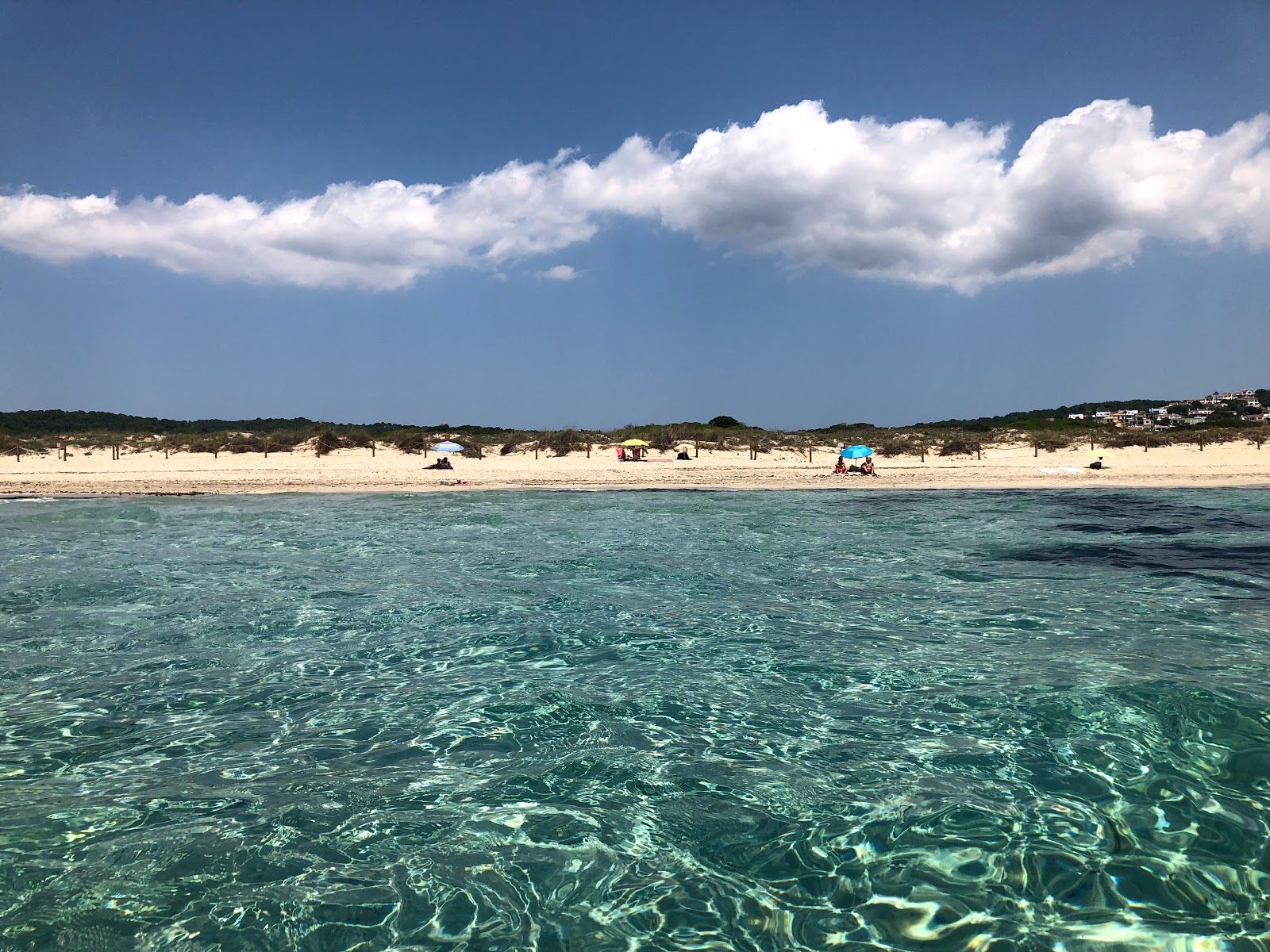 Fotografie cu Son Bou Beach cu drept și lung