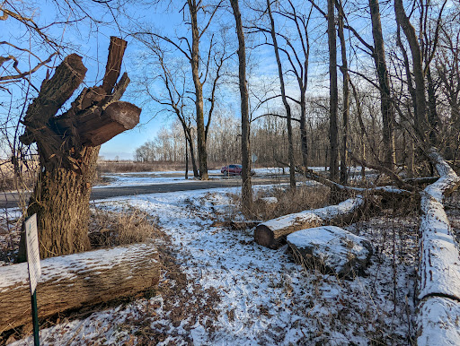 Nature Preserve «Meltzer Woods», reviews and photos, 1522 S 600 E, Shelbyville, IN 46176, USA