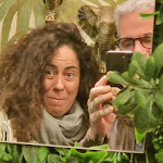 Photo n°2 de l'avis de Marco.e fait le 07/11/2023 à 07:54 sur le  MANI & SJUNGLE GENOVA à Genoa