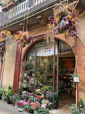 Alocasia à Toulouse