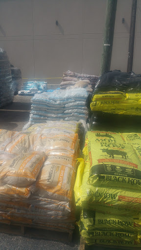 Hardware Store «Orlando Ace», reviews and photos, 2218 S Orange Ave, Orlando, FL 32806, USA