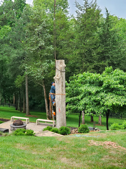 Snead's Landscaping & Tree Service, LLC