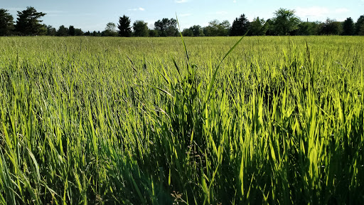 Golf Club «Valley View Golf Club», reviews and photos, 302 E Kagy Blvd, Bozeman, MT 59715, USA