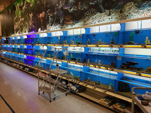 Pet Supply Store «PetSmart», reviews and photos, 401 S Mt Juliet Rd #645, Mt Juliet, TN 37122, USA