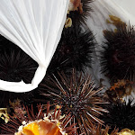 Photo n°13 de l'avis de Franca.i fait le 16/07/2019 à 17:40 sur le  Villaggio Marco Polo à Santa Domenica