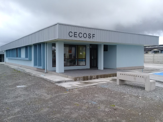 Opiniones de CECOSF Alerce Norte en Puerto Varas - Médico