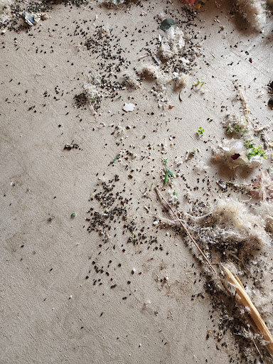 Storage Facility «Extra Space Storage», reviews and photos, 6667 Van Buren Boulevard, Riverside, CA 92503, USA