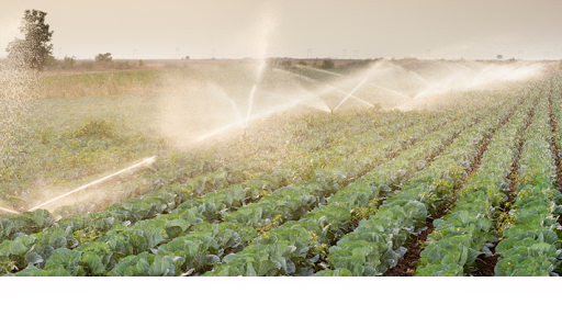 Franklee Irrigation Inc