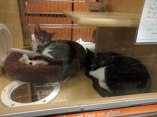 Pet Supply Store «PetSmart», reviews and photos, 300 NJ-18, East Brunswick, NJ 08816, USA