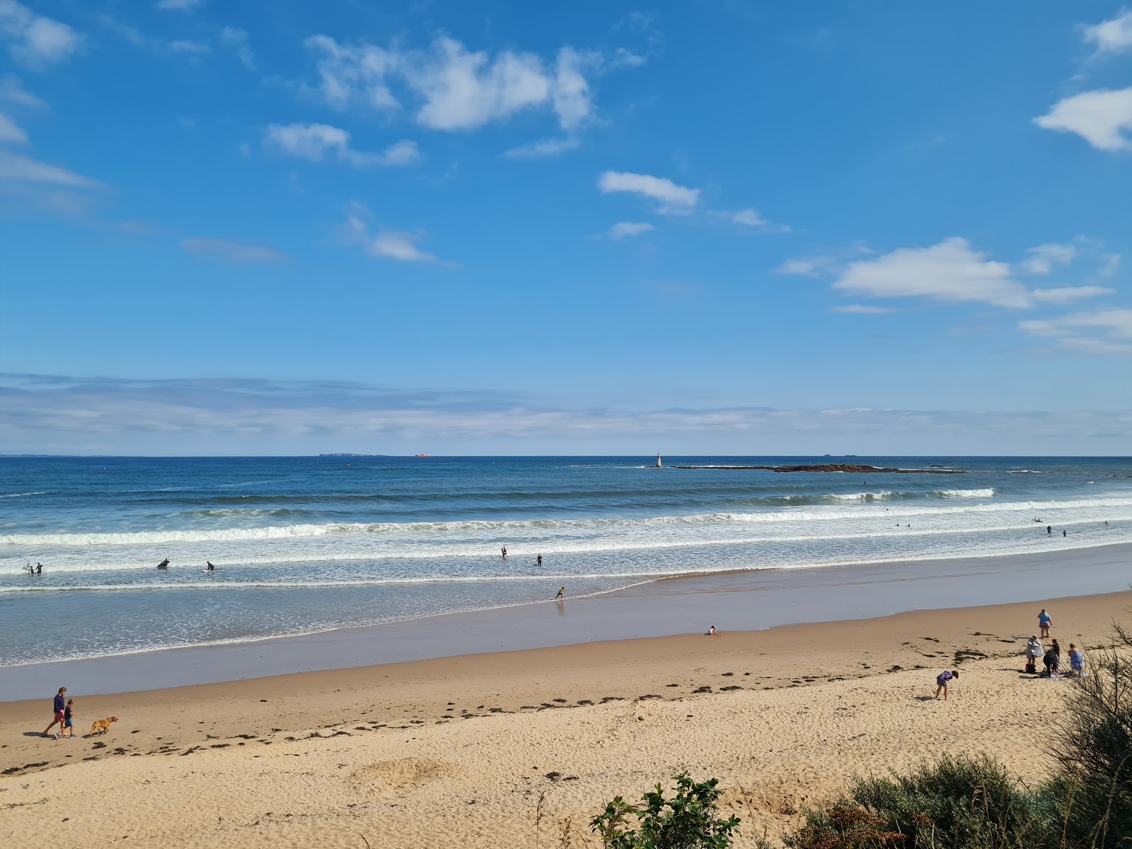 Fotografie cu Seacliff Beach înconjurat de munți