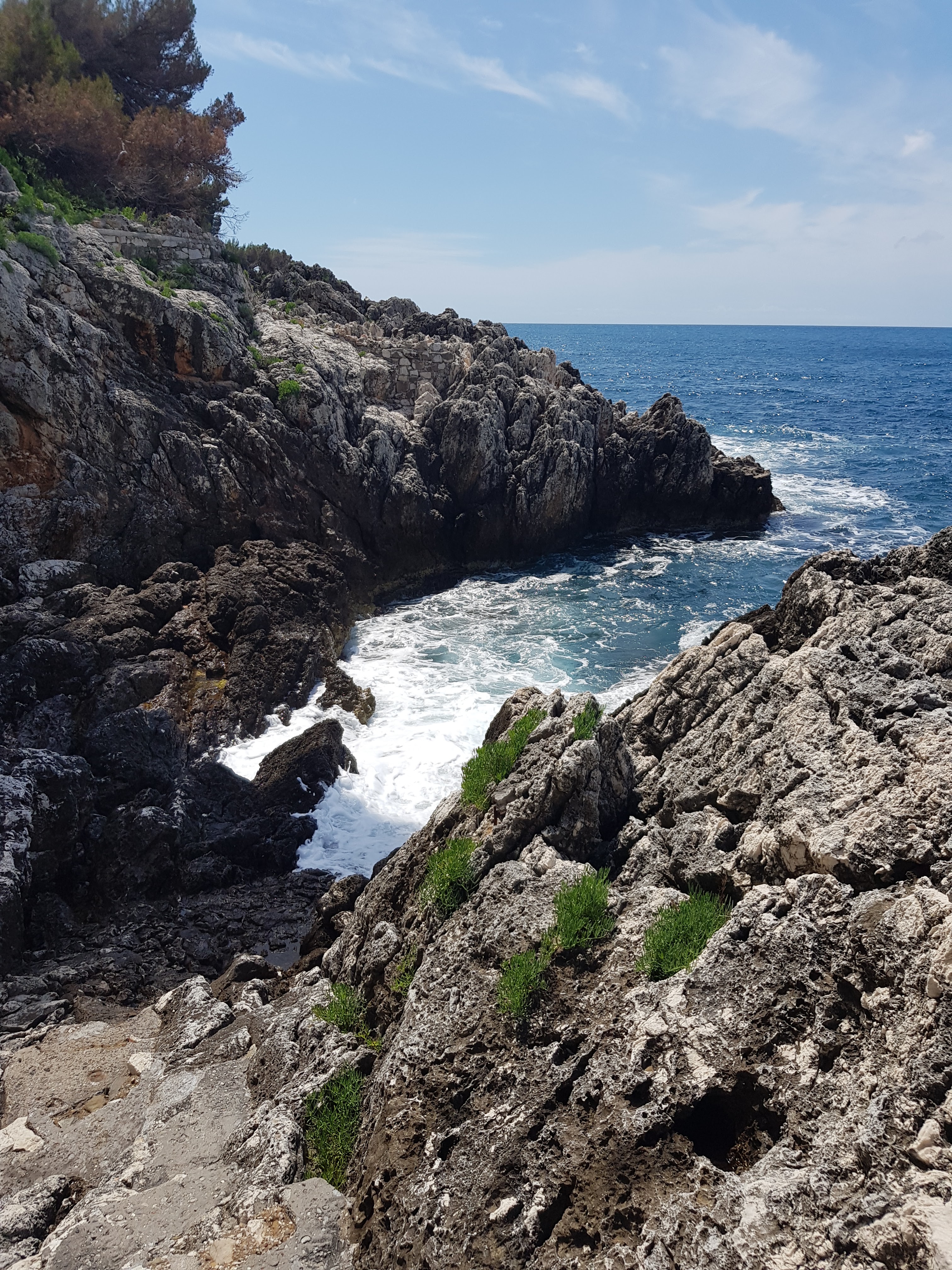 Photo n° 9 de l'avis de Céline.a fait le 21/06/2020 à 16:38