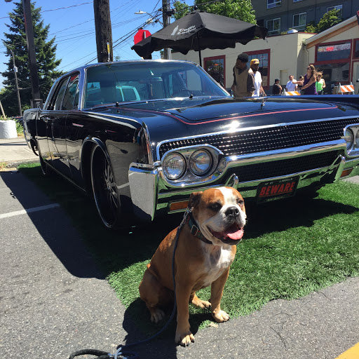 Thrift Store «Lucky Dog Clothing», reviews and photos, 8201 Greenwood Ave N, Seattle, WA 98103, USA