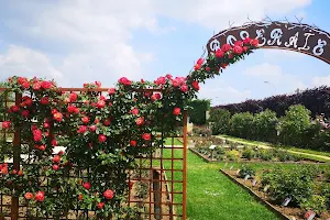 Terre de Rose Distillerie - Roseraie image